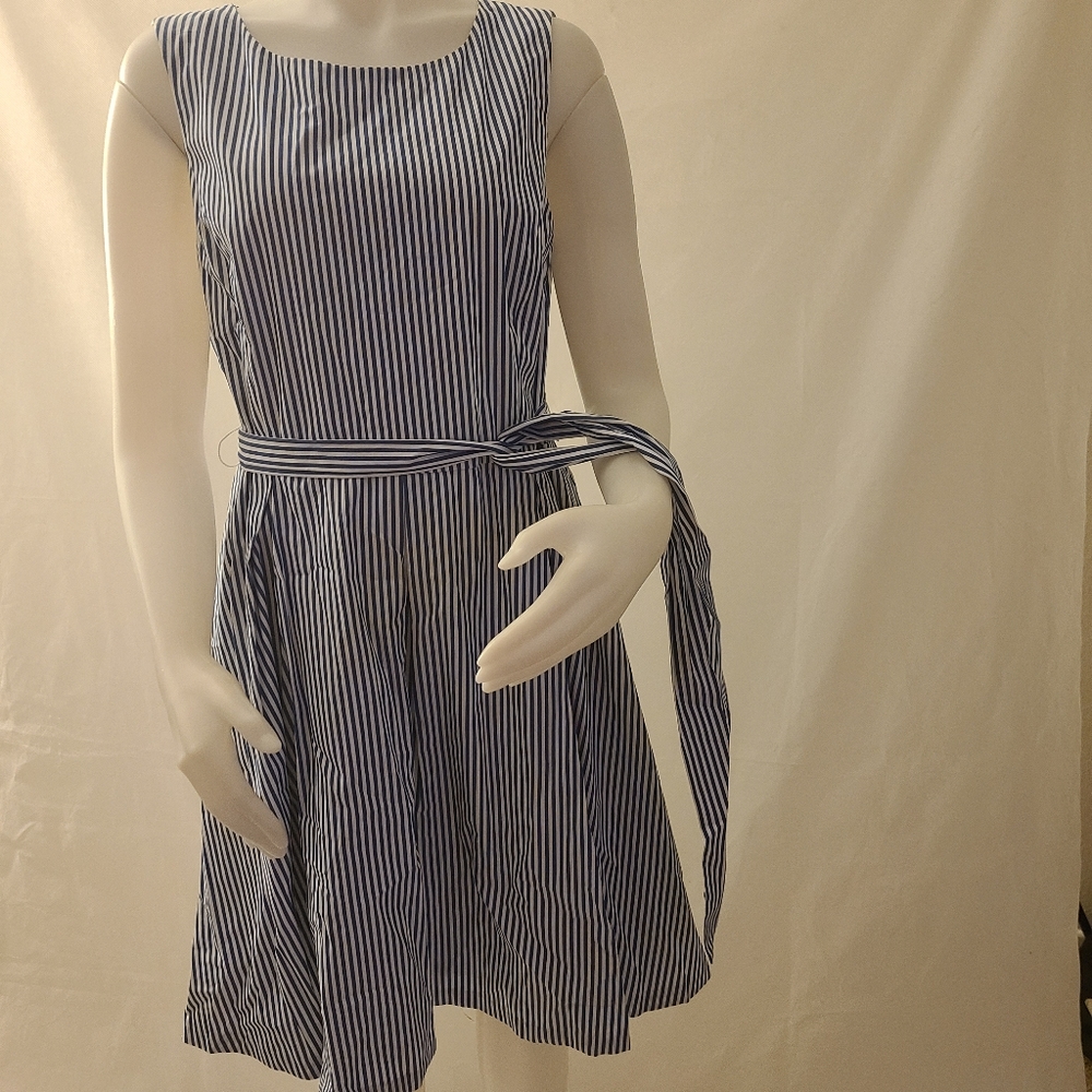 Pappagallo women's strip sleeveless casual dress - Picture 3 of 7